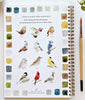 Birds Watercolor Workbook
