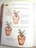 Book: 365 Days of Drawing, a guided sketchbook