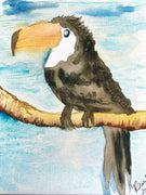 Original 8x10 Tucan watercolor painting