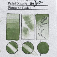 Hydra, watercolor half pan, metallic, Medium Green shimmer