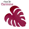 Carmine PV19