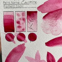 Carmine PV19