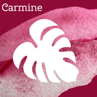 Carmine PV19