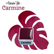 Carmine PV19